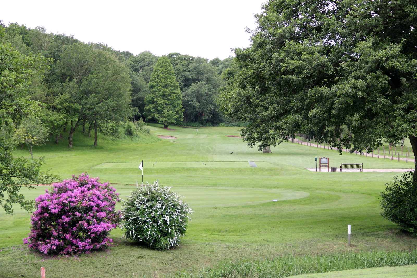 Golfers enjoying the parkland course at Trentham Park Golf Club